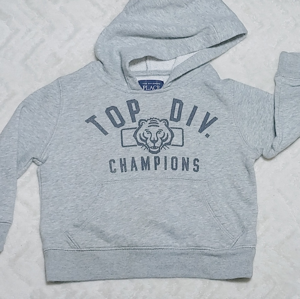 Carter's distressed grey hoodie 2T